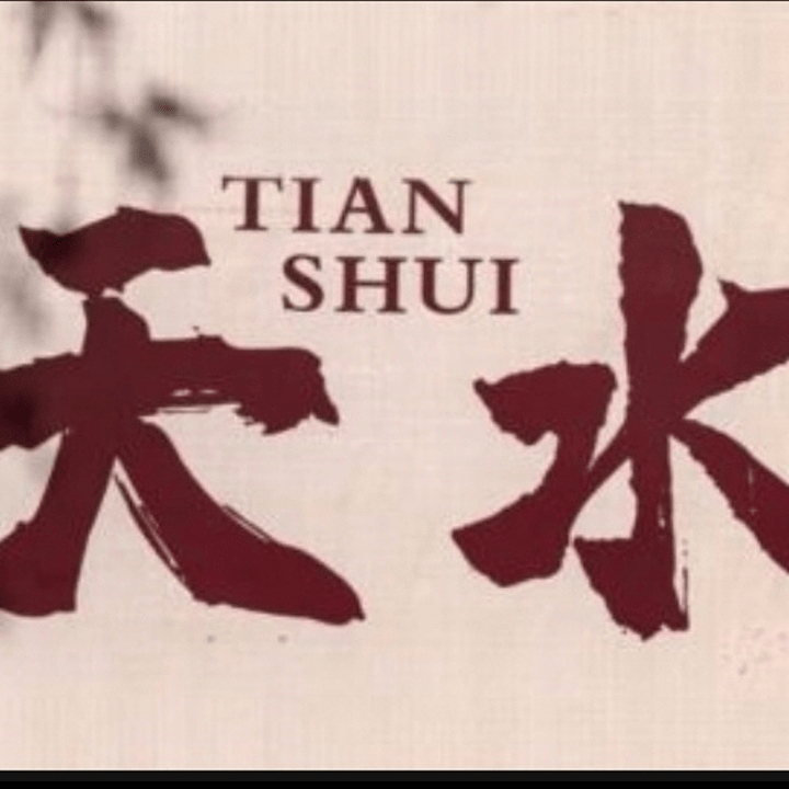 Akupunktur Malmö – Tian Shui